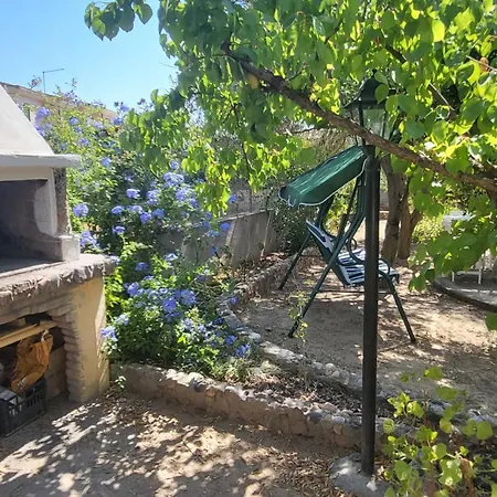 Ulivo